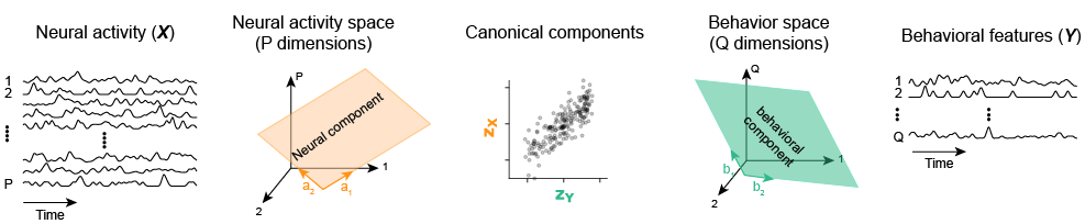 cca_illustration